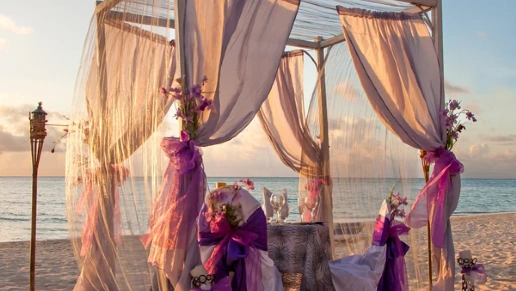 Celisa & Yorkville Ambientes Planejados